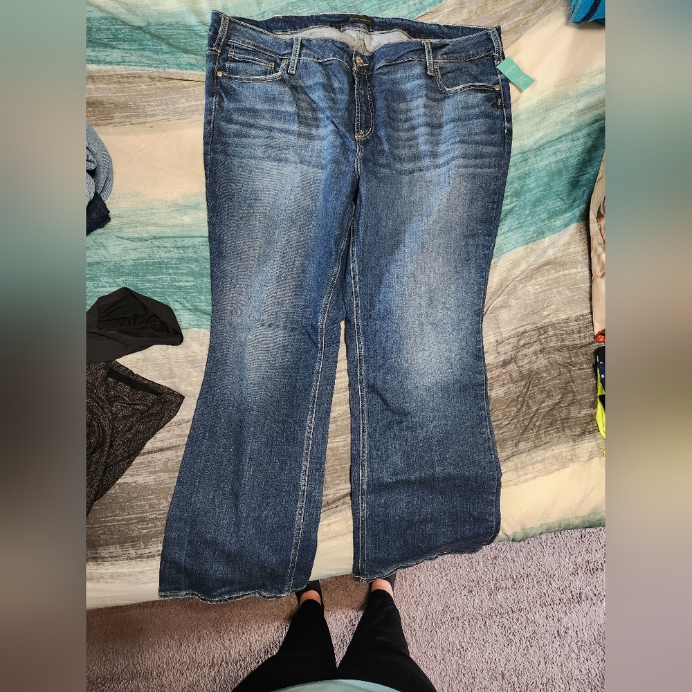 Silver jeans elyse